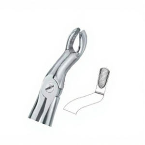 Pinzas para Extracción de Dientes Fig.67 Diam Top, Acero Inoxidable de Alta Calidad, Manuales, Certificación CE, Logotipo Personalizado, Instrumentos Dentales - Product Image 1