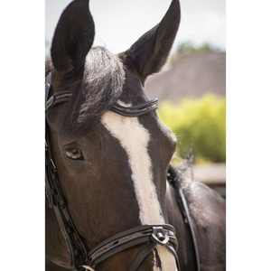 Brida de entrenamiento de brida Trabajo de alta calidad Caballo Snaffle Brida de cuero Fabricante de bridas Caballo de alta calidad Snaffle - Product Image 2