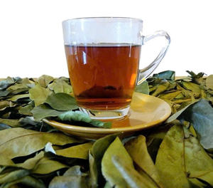 Poudre de feuilles de corossol pur: originaire et expédié du Vietnam - Product Image 5