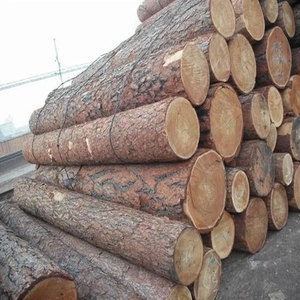 Productos duraderos de madera de pino, arena para gatos sin polvo, tablero de madera maciza, viga de pino y madera para construcción - Product Image 6