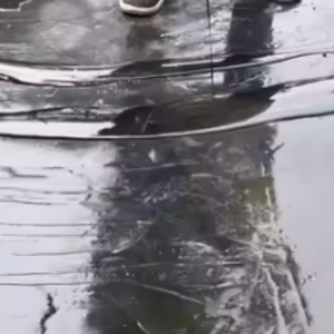 Lớp phủ chống thấm <span class=keywords><strong>polyurethane</strong></span> khô nhanh để ứng dụng nhanh và bảo vệ ngay lập tức các bề mặt khỏi bị hư hại do nước - Product Image 4