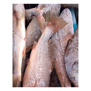 ปลาครอกเกอร์แช่แข็งต้นกำเนิดขายส่ง - Product Image 2