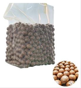 Fabricante de Vietnam Ofrece Nueces de Macadamia Tostadas y Partidas de Primera Calidad a Precio de Mayoreo, 300g - Product Image 1