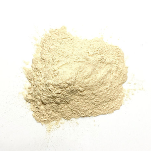 Poudre de Gelée <span class=keywords><strong>Royale</strong></span> Lyophilisée 100% Naturelle de Haute Qualité HDA 4% 5% 6% – Meilleur Prix en Promotion - Product Image 2