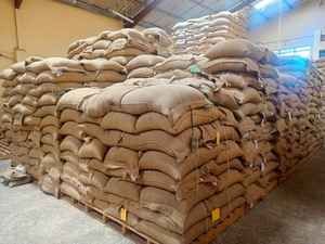 Granos de Café Verde Robusta Premium de Vietnam, Granos Enteros con un Sabor Intenso y Rico para Tostadores de Café - Product Image 2