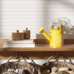 Maceta de Metal galvanizado para riego de plantas de interior, maceta para plantas de interior y exterior, flores, casa y jardín - Product Image 3