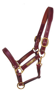 Halter de bride en cuir de nylon robuste de haute qualité avec sangle de gorge cousue ronde et licou de corde de cheval à plaque gravée - Product Image 2