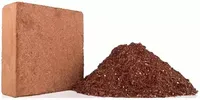 2025 Top vente lavé coco Cocopeat palette briques haute EC 5kg Coco tourbe blocs jardin plante planification sol matériel graine utilisation