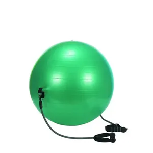 Anti-Burst 75cm Balance Exercise Ball Half Ball for Burst-Proof Workouts