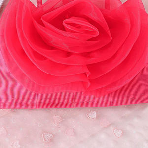 Primavera Verano Ropa para niños Niños 8-12 años Top de encaje Falda grande Media falda Conjunto para niños - Product Image 5