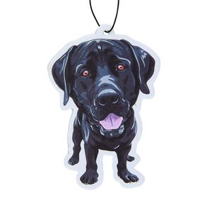 Rafraîchisseur d'air de voiture de forme personnalisée de conception ouverte - Product Image 2