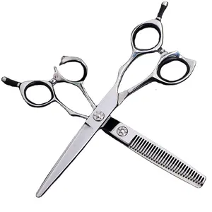 Ensemble de 2 ciseaux de coupe de cheveux pour coiffeur et coiffeur professionnel, pour Salon