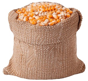 Maïs jaune NON OGM pour l'alimentation animale | Maïs jaune séché du Brésil en sacs de 25kg et 50Kg - Product Image 3