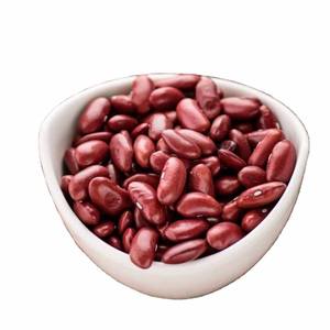 ถั่วไพน์อบแห้งสำหรับอาหารถั่วไตแดงออร์แกนิกบริสุทธิ์99.9% สะอาดและผ่านการคัดสรรแล้ว - Product Image 2