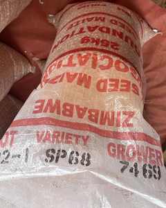 Harina de Maíz Fina Blanca con 99% de Pureza, Empacada a Granel con Larga Vida Útil para Fufu o Recetas de Maíz Dulce Congelado Fresco - Product Image 2