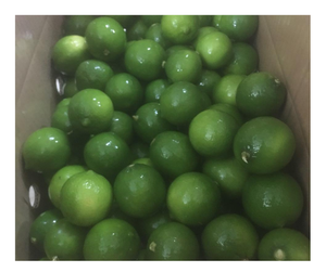 Citron vert sans pépins frais de qualité supérieure Vietnam cultivé 100% saveur naturelle meilleures offres d'exportation citron vert frais sans pépins de qualité supérieure - Product Image 3