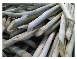 อ้อยแช่แข็งจากเวียดนามราคาดีที่สุดสำหรับผลไม้หวานจำนวนมาก - Product Image 1