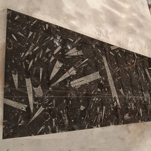 GOLDTOP OEM/ODM-piedra de mármol Natural para decoración de pared y suelo, marmol, <span class=keywords><strong>Marmar</strong></span>, se utiliza, fósil, Jura del océano - Product Image 4