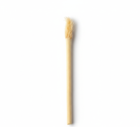 CrystalFresh Miswak, Barra de Mascar Natural, Blanqueador Dental Orgánico, Sabor Natural, Alternativa Ecológica al Cepillo de Dientes de Madera