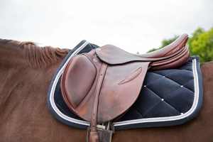 Almohadillas de Silla de Montar de Algodón de Alta Calidad, Estilo Moderno, Muy Solicitadas, Nueva Llegada, Nuevo Estilo, Gran Venta - Product Image 5