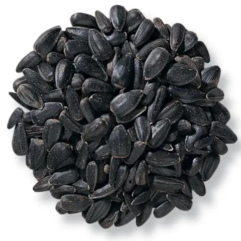 Top Quality Inner Mongolia Origin Sunflower Seeds Kernels Wholesale chinese sunflower seeds kernels