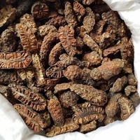 Topkwaliteit gedroogde Noni groothandel gezonde gedroogde Morinda Citrifolia vruchten klaar voor export