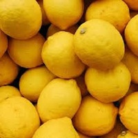 Oranges fraîches biologiques Citrons verts Agrumes frais de qualité supérieure goût sucré