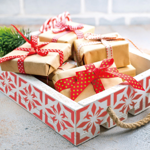 ลายฉลุ PET ขนาดใหญ่สำหรับการทาสีผนังและเฟอร์นิเจอร์ - Product Image 5