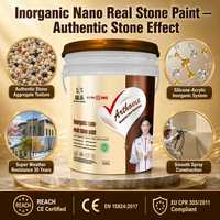 Peinture Nano Inorganique à Base de Pierre Véritable Silicone Acrylique pour Mur Extérieur Co...