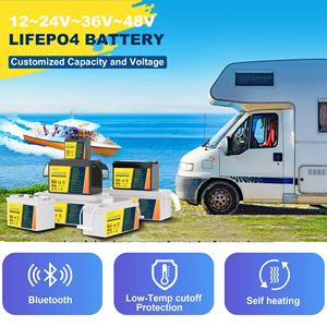 Batería personalizada 12V LiFePO4 12V 100ah 120Ah 150Ah 200Ah 250Ah RV solar 200Ah batería de iones de litio con BT - Product Image 5