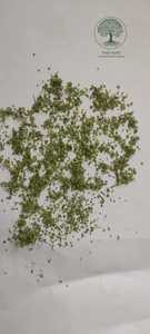 Té de Hojas Secas de Cassia Alata en Bolsitas Cortadas (TBC)/Té Cortado (T-CUT) con Senósido Superior al 0.6% para Infusiones Herbales - Product Image 4