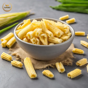Takimex Premium maíz congelado corte tamaño 15-30mm diámetro 22mm máximo embalaje IQF a granel 10kgs cartón Vietnam para alimentos y ensaladas - Product Image 1