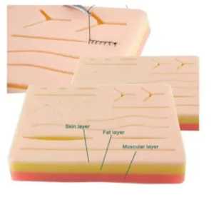 2025 Kit de pratique chirurgicale de suture de peau médicale en gros Kit de pratique de suture en Silicone pour étudiant en médecine - Product Image 4