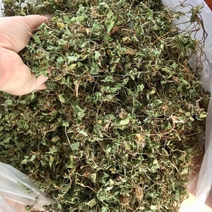 Producto de Centella Asiática Seca Utilizado para Hacer Té para la Purificación del Cuerpo y Muchos Otros Usos Cosméticos - Product Image 3