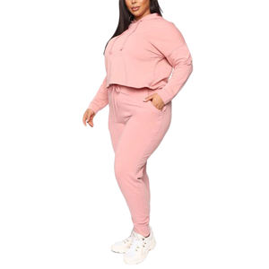 Sweat à capuche de couleur unie pour femmes sur mesure recadrée Sexxy à capuche femmes sport sweats à capuche pour femmes sweats en gros - Product Image 2