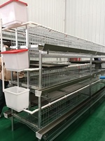 Nouvelle cage à poules pondeuses de type H avec 3 à 8 niveaux en acier galvanisé, facile à nettoyer, pour élevage commercial de volailles