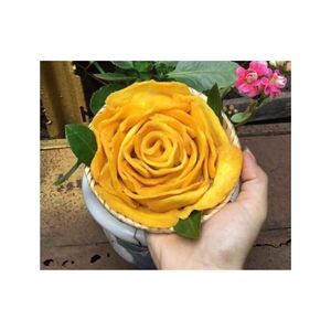 Mango seco súper barato a precio de fábrica-Bocadillo tropical crujiente delicioso producto de comida rápida en Vietnam-MANGO AD bajo en azúcar - Product Image 1