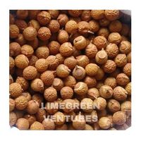 Sapindus Mukorossi (Graines de Reetha) – Exportateur en Gros de Produits à Base de Plantes – Durée de Conservation de 12 Mois – Marque Double Tongues – Fabriqué par Limegreen Ventures