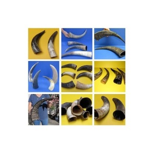 Corne de vache à boire, nouveau Style fait à la main de meilleure qualité, conception de forme personnalisée, corne de buffle à boire - Product Image 2