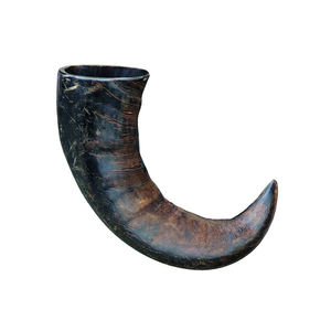 Corne de buffle naturelle disponible à la vente à bas prix pour les collectionneurs en gros et les artisans - Product Image 4