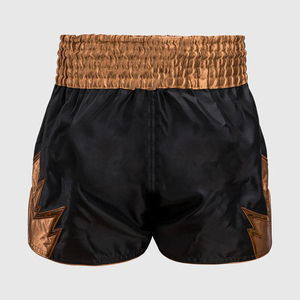 Offre Spéciale Muay Thai Shorts Combat Kick Boxing MMA Arts Martiaux Respirant Boxe Hommes Mma Shorts - Product Image 1