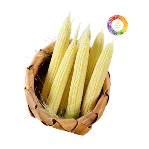 Maïs bébé congelé du Vietnam-Qualité supérieure par 99 Gold Data | En vrac prêt à exporter 2025 à prix compétitif - Product Image 5