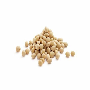 Venta a granel de alta proteína de harina de soja fresca con toda la grasa Frijoles de proteína animal para pollos de la línea de producción - Product Image 3
