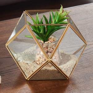 Terrarium en verre géométrique haut et irrégulier de gros en provenance d'Inde avec cadre en fer finition noire pour pot de fleurs, décoration de table - Product Image 5