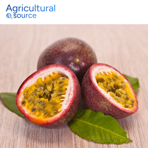 Super Passion Fruit-Aumenta el metabolismo Calidad vibrante Ideal para bebidas deportivas y recetas de batidos-Hecho en Vietnam - Product Image 3