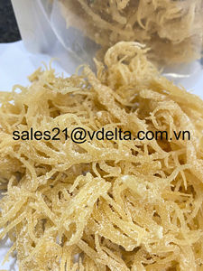 Venta al por mayor de algas secas de alta calidad Eucheuma Cottonii/musgo marino de Vietnam // Lima - Product Image 4