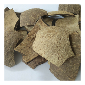 Cáscara de coco cruda de alto grado para manualidades, aditivos para piensos, diseño de paisaje, industria del carbón vegetal y proyectos de bricolaje - Product Image 5