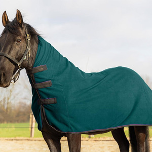 Nieuw Ontwerp Paard Tapijt Winter Waterdicht Paard Tapijt Met Premium 100% Polyester Op Maat Gemaakt Paardenblad - Product Image 4
