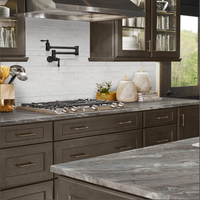 Dalle de marbre poli ORRIS LIVING indien exotique, épaisseur 20/30 mm, durable, écologique, design moderne, pour façade de bâtiment commercial et maison