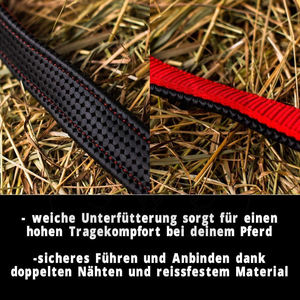 En gros, Nouvelle Tendance : Licol pour Cheval en Nylon Robuste pour Usage Quotidien, avec Option Cuir Véritable, Rembourré et Ajustable - Product Image 6